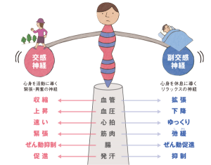 自律神経のバランス