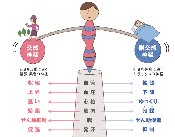 自律神経のバランス