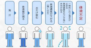 体内水分