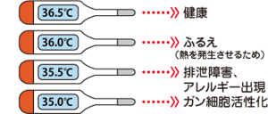 体温と免疫力