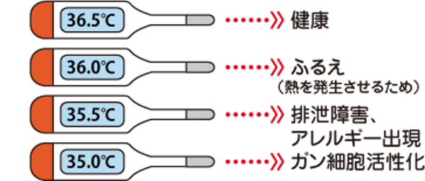 体温と免疫力