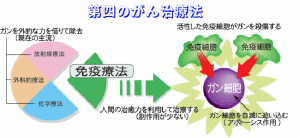 免疫細胞療法