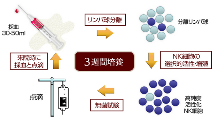 免疫細胞療法