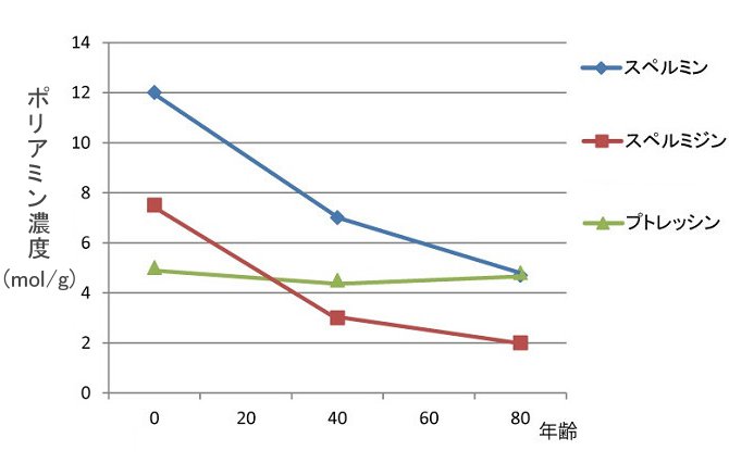 ポリアミン生成量