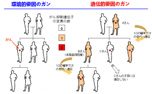 ガンの遺伝要因と環境要因