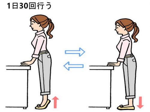 骨ホルモンは究極の若返り物質！骨芽細胞を刺激する2つの運動法とは