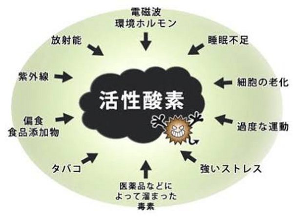 活性酸素による弊害